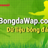 bongdasowap