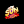 sunwinincocom