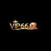 vip66ink